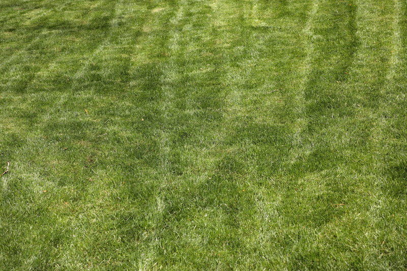 land, textured, high angle view, football, composition, sport, green color, terry, detail shots, grass, plant, growth, team sport, no people, blank, ot