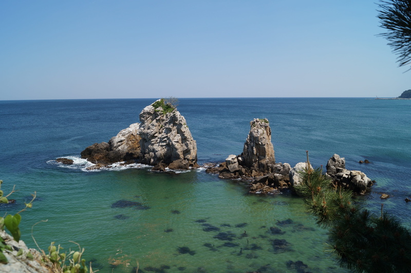 plant, sea, vacation, rock - Object, landscape, solid, cliff, beauty in nature, scenics - nature, gangwon do, rock formation, travel Locations, beach, exotic