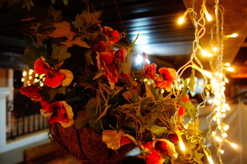 decoration, flower, christmas, plant part, leaf, artificial flowers, lights, illuminated, spirituality, lighting equipment, box, plant, beautiful flowers
