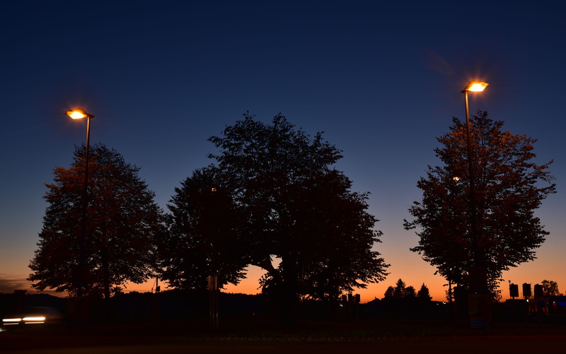 nature, park - man made space, light, plant, park, evening, tree, street light, transient, lighting, silhouette, 5K, dark, artificial light, sunset, lighting equipment