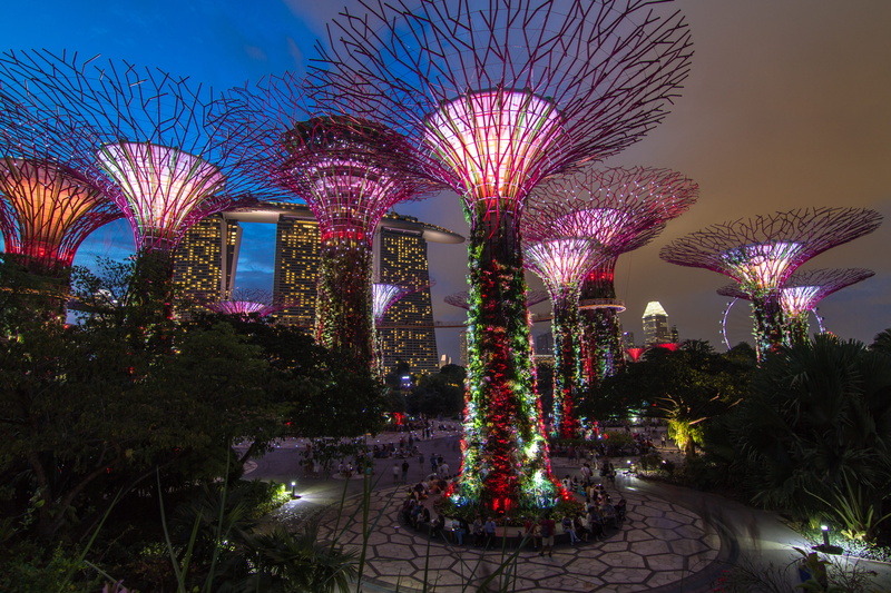 multi colored, nature, night, city, singapore, artificial, colorful, dusk, art, design, event, plant, water, plants, tree, built structure, dark, sky, park