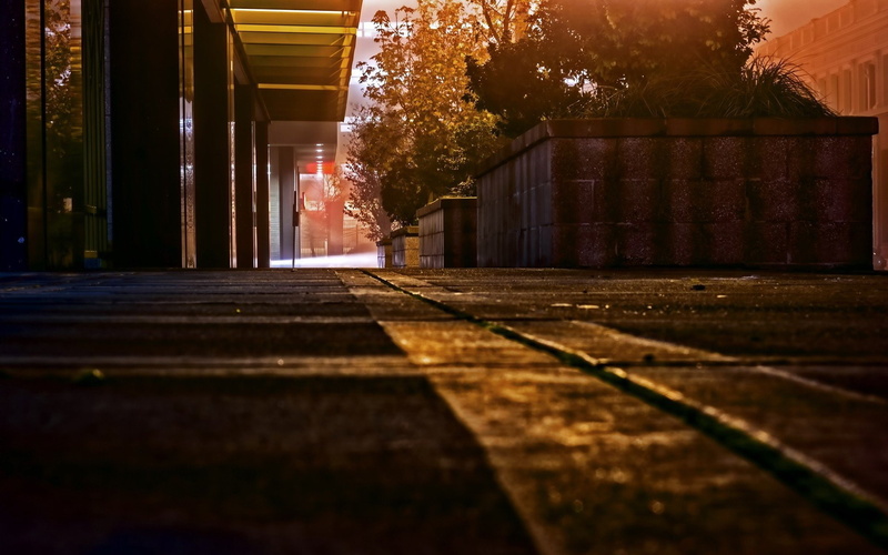 Artificial Lights, sunlight, Trees, street, path, Blurred, Lights, 1080P