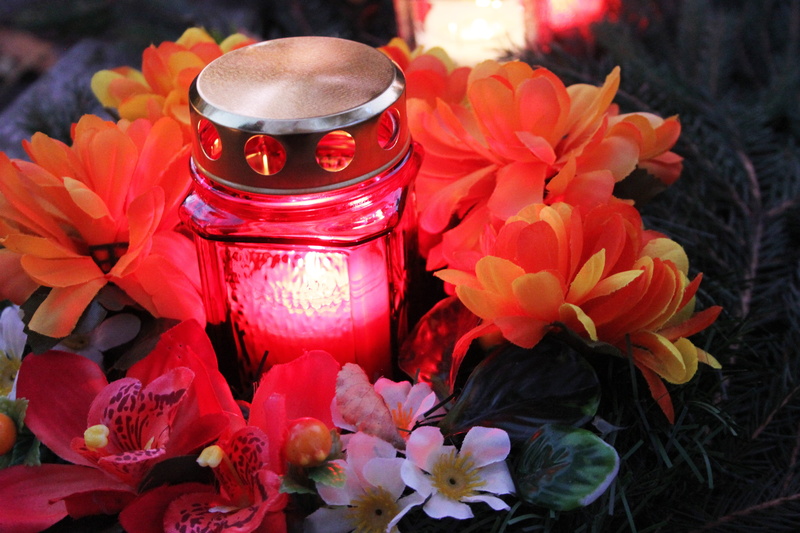 red, candle, the feast of the dead, focus on foreground, plant, light, container, flower, day, electric lamp, flowering plant, freshness, flower arrangement