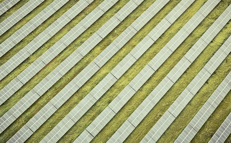 steigerwald, fichtelgebirge, bayreuth, oberfranken, day, in a row, no people, solarpark, unterfranken, wandern, echtoberfranken, symmetry, palm leaf, repetition