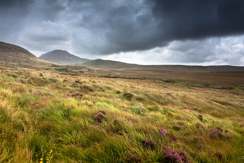 ireland, beauty in nature, landscape, mountains, letterfrack, storm, connemara, no people, plant, wind, environment, storm cloud, mountain, remote, cloud - sky