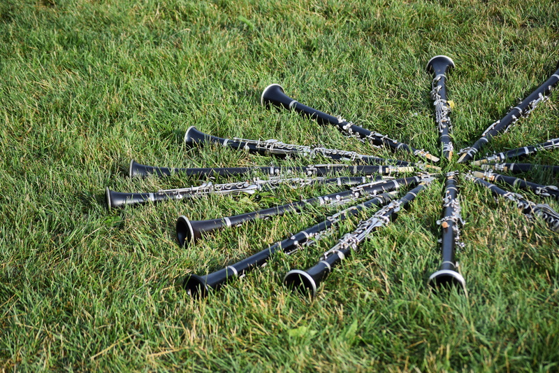 musical instruments, bicycle, beauty in nature, clarinet, growth, security, day, safety, no people, outdoors, grass, in a row, instrument, land, band, music