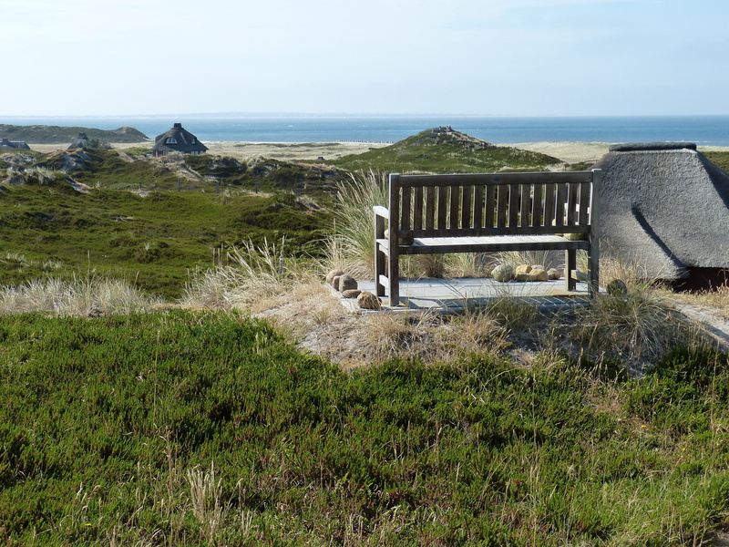 island, day, horizon, no people, sand, tranquility, sylt, north sea, coast, landscape, hörnum, country houses, dunes, plant, green color, beauty in nature