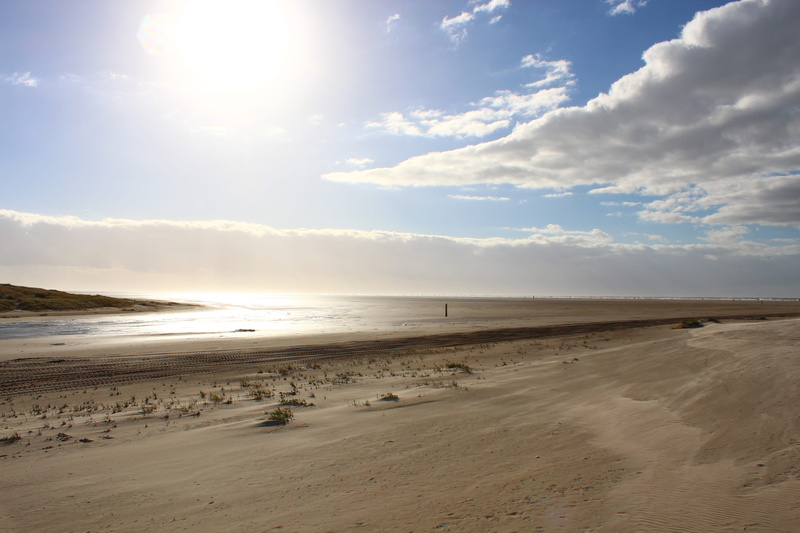 5K, tranquility, scenics - nature, sunlight, water, horizon, land, outdoors, wind structure in the sand, sea, day, sand, scenics, saint peter ording, horizon over water