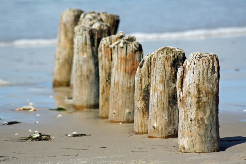 beach, amrum, nature, post, rock - object, tranquil scene, day, several, solid, no people, outdoors, brown, focus on foreground, coastline, north sea, water