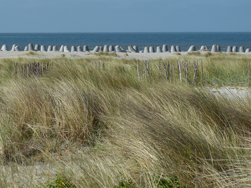 scenics - nature, tranquility, coast, no people, sea, tetrapods, nordfriesland, water, dunes, day, island, plant, sylt, growth, the beach fixing, grass