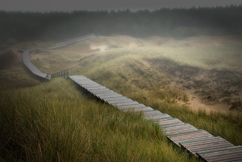day, amrum, direction, the way forward, tranquil scene, angle, footpath, tranquility, pathway, nature, beauty in nature, outdoors, environment, photo, boardwalk