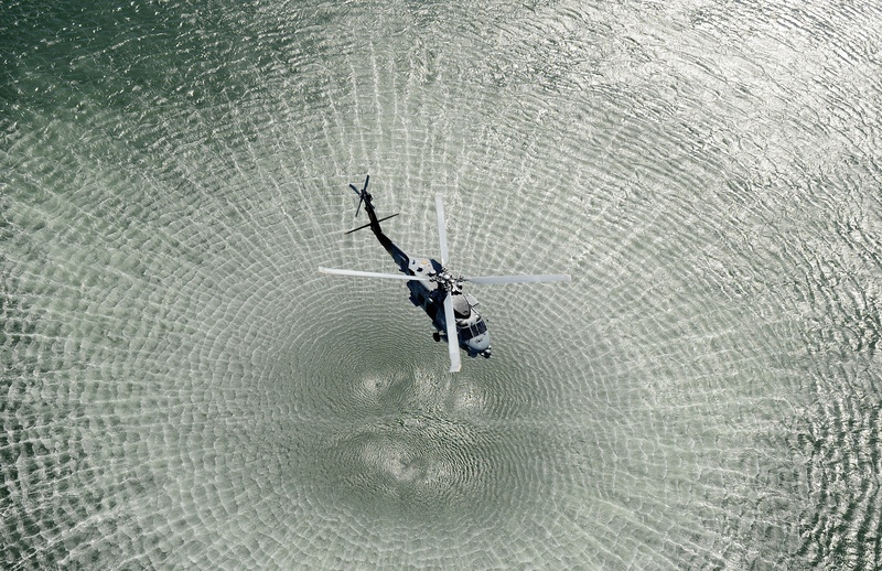 close-up, nature, blades, forming, outdoors, waves, vertebrate, high angle view, ripple, men, rotors, day, animal themes, animals in the wild, flying, black