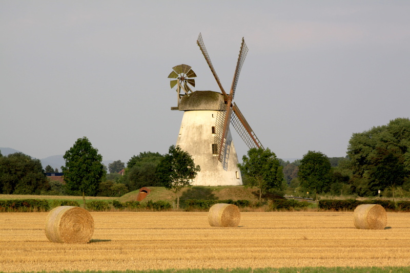 environmental conservation, sky, straw bales, nature, turbine, renewable energy, mill, environment, straw, bale, rural scene, farm, plant, agriculture