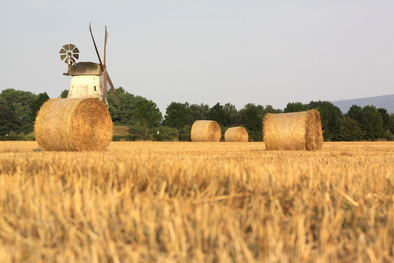 land, wind power, rural scene, straw, cereals, beauty in nature, hay, tranquil scene, straw bales, crop, summer, plant, landscape, pinwheel, field, haystack