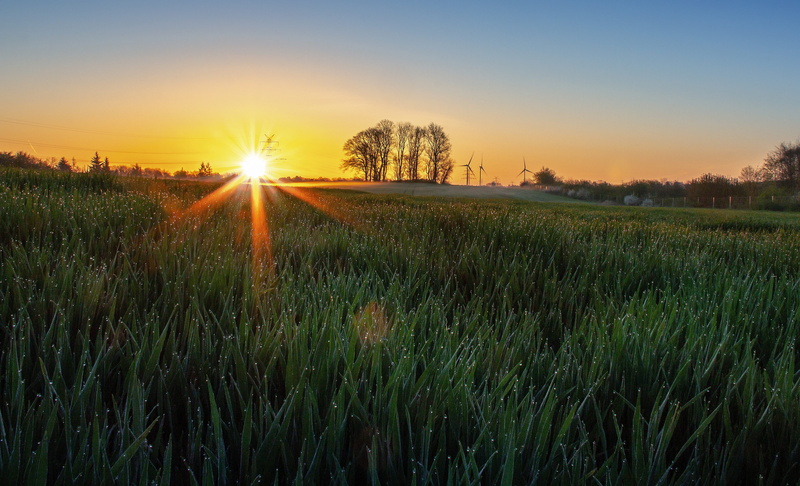 scenics - nature, rest, nature, field, mecklenburg, 4K, partly cloudy, beauty in nature, evening, water, beach, agriculture, growth, lens flare, green meadow