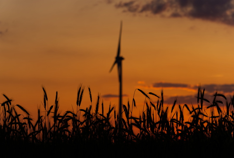 romantic sky, dark, 5K, environmental conservation, environment, cereals, environmental technology, twilight, land, food, grain, renewable energy, rotor blades