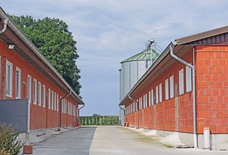 architecture, building, cornfield, feed silo, agriculture today, cloud - sky, outdoors, direction, footpath, alley, no people, residential district, agricultural subsidies