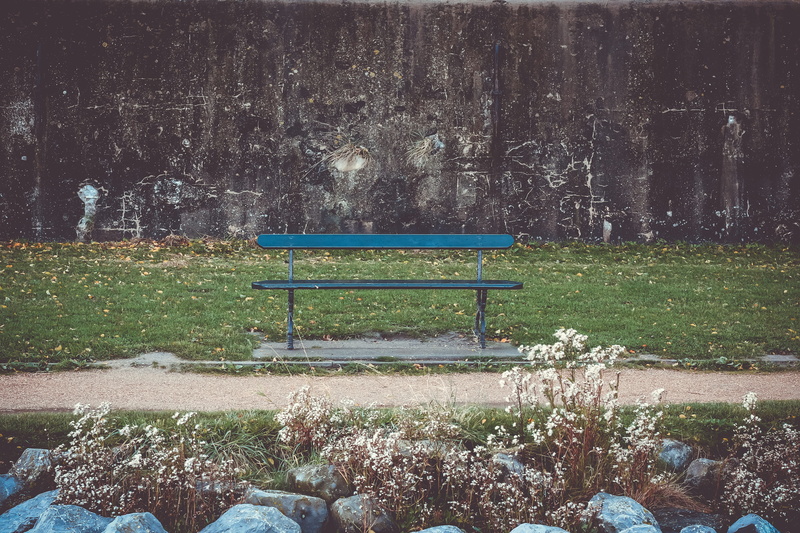 bench, no people, nature, path, plant, chair, green color, absence, 4K, growth, pathway, day, netherlands, tranquility, park bench, outdoors, empty, tree