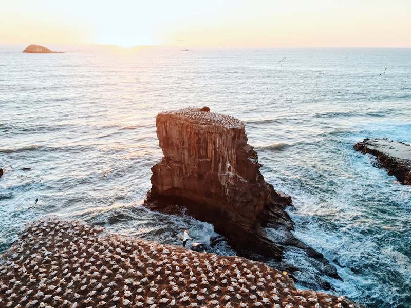tranquility, outdoors, New Zealand, rock, settled, photos, wave, beach, 4K, rock - Object, sunset, no People, sea, horizon Over Water, land, nature, orange color