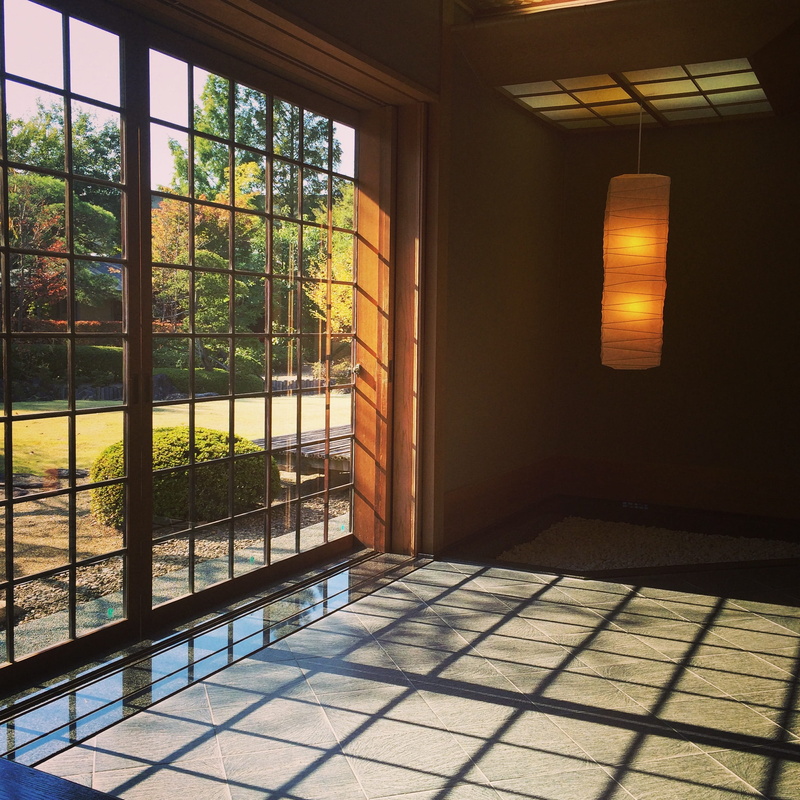 plant, 1080P, window garden, nature, building, glass - material, Front, transparent, flooring, tiled floor, architecture, pattern, ceiling, indoors, absence