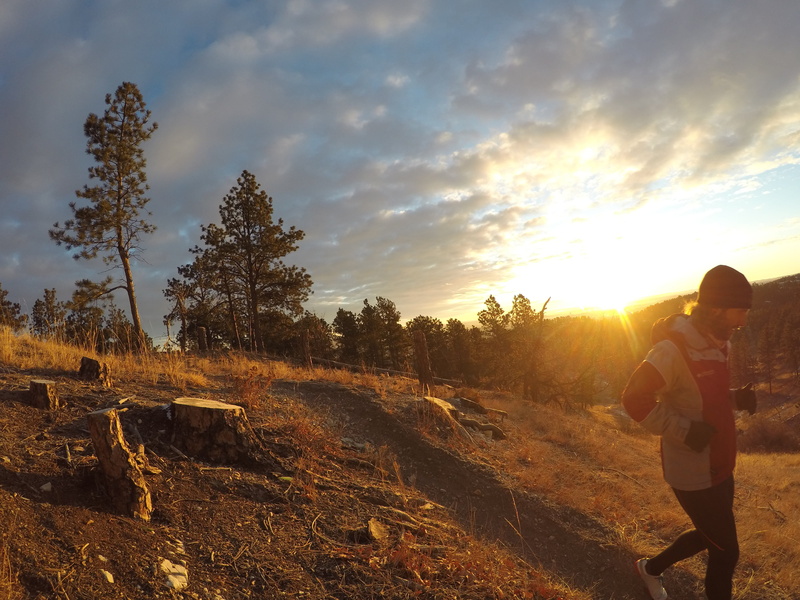 one person, united states, sunset, men, forest, cloud - sky, real people, tree, standing, running, plant, beauty in nature, black hills, sunrise, scenics - nature