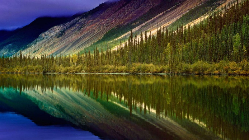  no people, coniferous tree, nature, non-urban scene, body, mountain, landscape, river, environment, pine woodland, water, Canada, tranquility