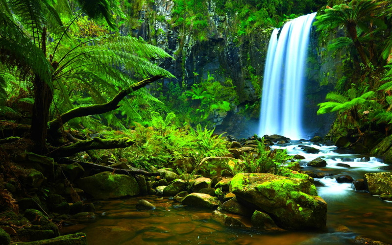 power in nature, flowing water, green color, motion, nature, flowing, green, tree, scenics - nature, moss, solid, stream - flowing water, water, rock, rainforest