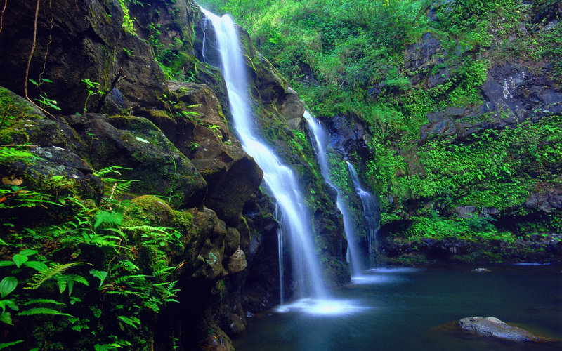 rock formation, fern, rainforest, power in nature, rock - object, hawaii, land, rock, flowing water, flowing, solid, falling water, definition, growth
