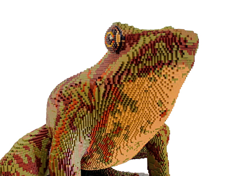 copy, animal themes, genetically, lego, brown, indoors, green, replica, model, 4K, representation, one animal, built, life, building, artificial, close-up