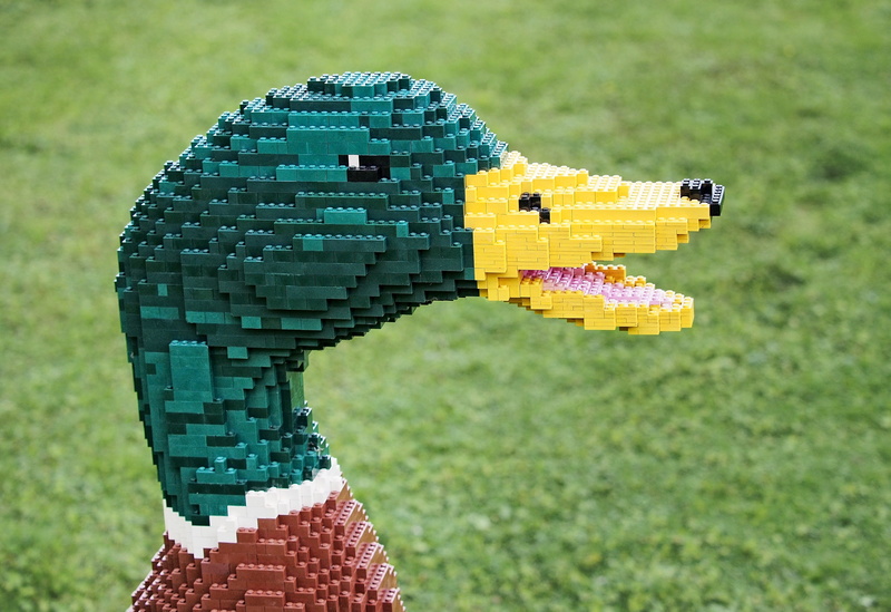 drake, parody, built, creation, plumage, photography, model, beak, lifestyles, sunlight, wildfowl, replacement, mallard, copy, modified, outdoors, bird