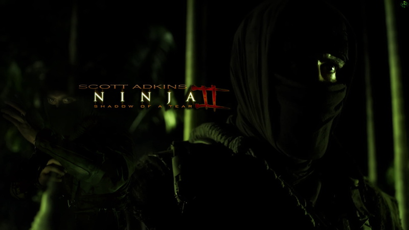 standing, unrecognizable person, dark, leisure activity, headshot, ninja, 1080P, lifestyles, women, terrorism, one person, poster, ninja 2, holding, adult