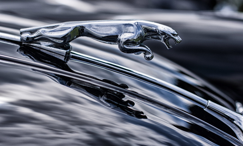 stainless, chrome, water, day, outdoors, wet, transportation, land vehicle, luxury brand, no people, silver, purity, hood ornament, ornament, jaguar, shiny
