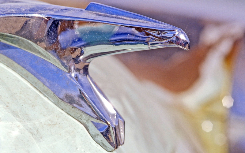 1080P, hood ornament