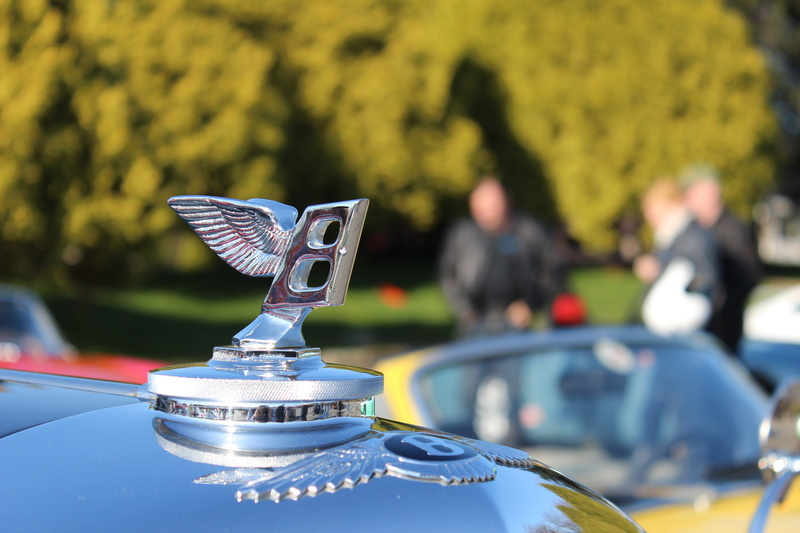 selective focus, shiny, equipment, car, sign, focus on foreground, hood, steel, close-up, sunlight, metal, land vehicle, outdoors, tree, transportation