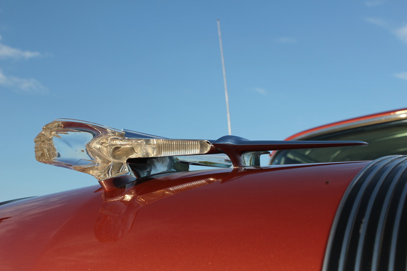 hood, ornament, 5K, safari