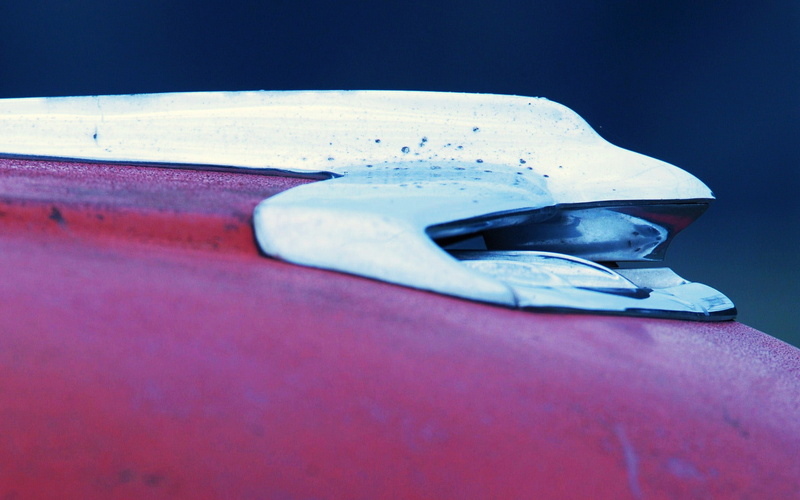 1080P, Photography, Hood Ornament