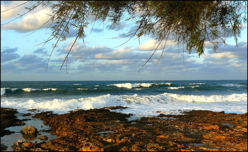 outdoors, mallorca, 1080P, tree, horizon, sky, beach, rock formations, stones, rest, tranquility, waters Edge, wave, holiday, scenics - nature, seashore