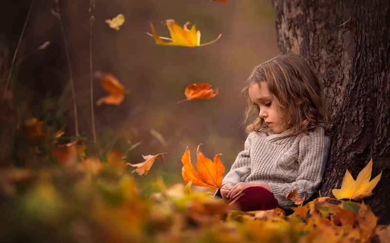 1080P, change, plant part, sad, trunk, one person, sweater, girl, innocence, leaf, plant, tree trunk, sitting, looking, leaves, hairstyle, scarf, girls