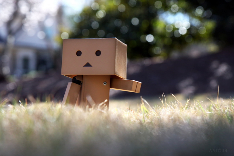 720P, danbo, doll, cute, danboard, photography