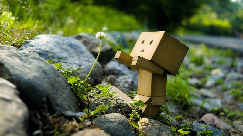 moss, danboard, rock, nature, plant, solid, day, stone - object, grave, rock - object, 1080P, stone material, stone, spirituality, religion, selective focus