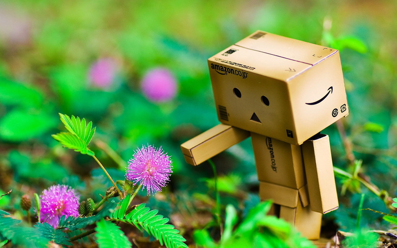 selective focus, amazon, toy, multi colored, small, technology, freshness, 1080P, nature, brown, day, plant, box - Container, cute, fragility, flowers