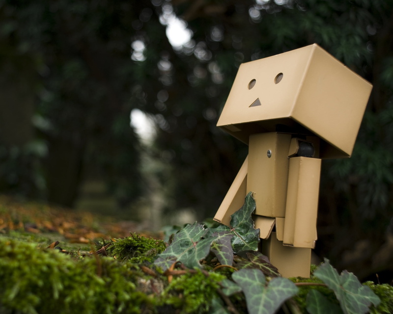 sign, grass, walk, nature, 2K, yellow, selective focus, cardboard, no People, danboard, close-up, art and craft, human representation, outdoors, representation