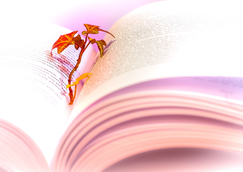 purple, vibrant color, literature, poetry, flower, close-up, human body part, nature, pink color, book, red, read, indoors, invertebrate, fragility, opened