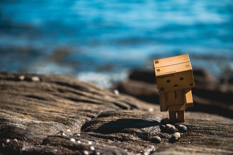 standing, beach, barnacle, daytime, sea, 5K, stone, boxman