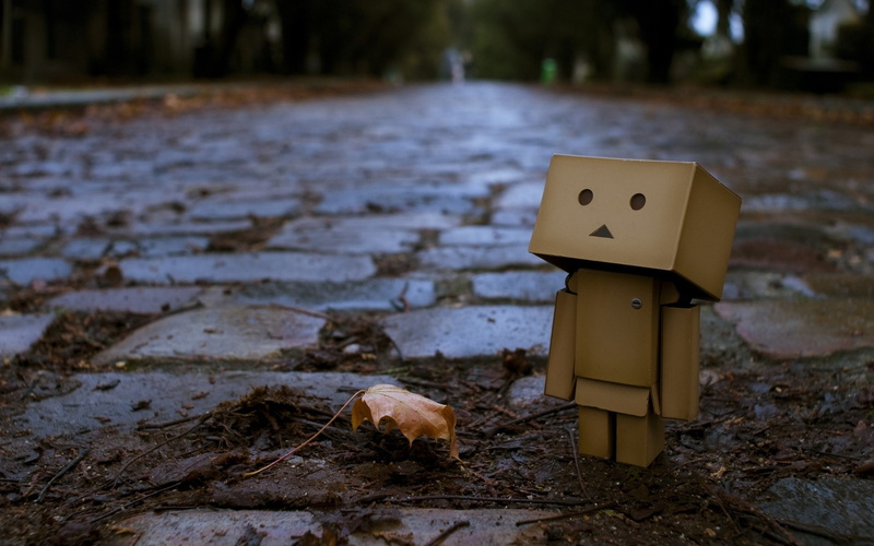 canine, dog, Danboard, art and craft, mammal, Leaves, 1080P, Boxes, Robot, nature, field, land, Autumn, tree, Maple, close-up, day, human representation