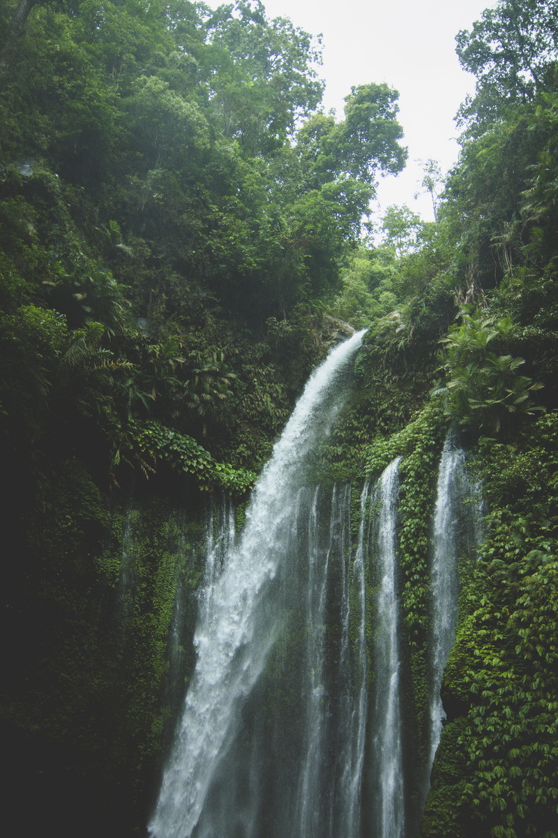 outdoors, flowing, green, long exposure, power in nature, lush foliage, blurred motion, scenics - nature, no people, beauty in nature, foliage, 5K, rainforest