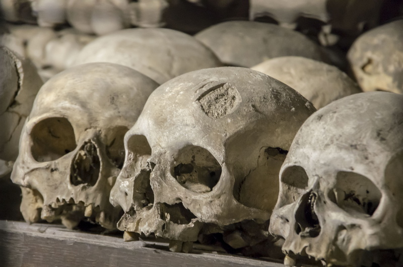 trauma, stack, bone, human body part, horror, spooky, close-up, death, skeleton, 4K, the past, indoors, pain, human bone, still life, human skull, fear
