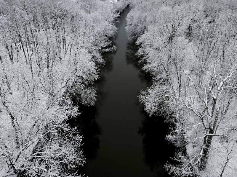 river path, high angle view, trees, black and white, cold weather, winter, day, no people, water, minimal landscape, black, outdoors, tree, frozen, nature