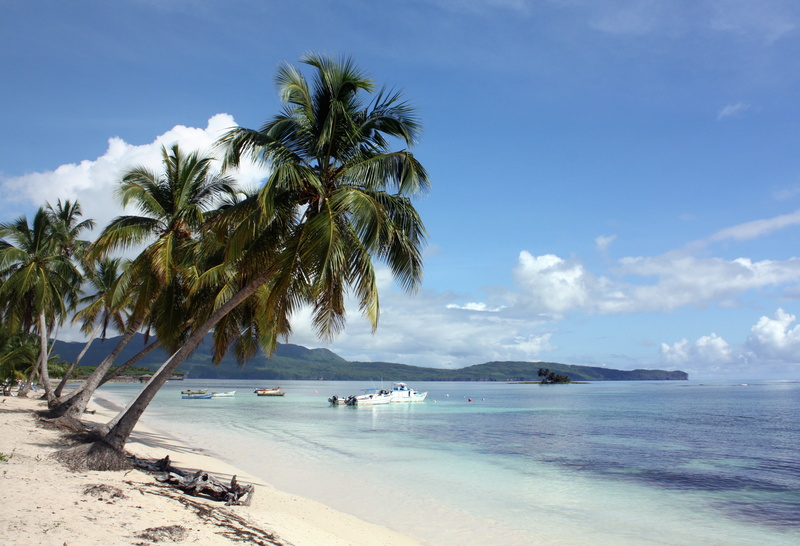sand, samana, palm, dream holiday, caribbean, no people, fishing boat, boot, scenics - nature, plant, las galeras, water, cloud - sky, beach, sky, land