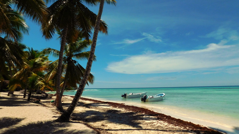 tree, sky, tropics, paradise, nature, boats, tropical climate, 4K, turquoise colored, palm, travel, scenics, palm tree, horizon over water, nautical vessel